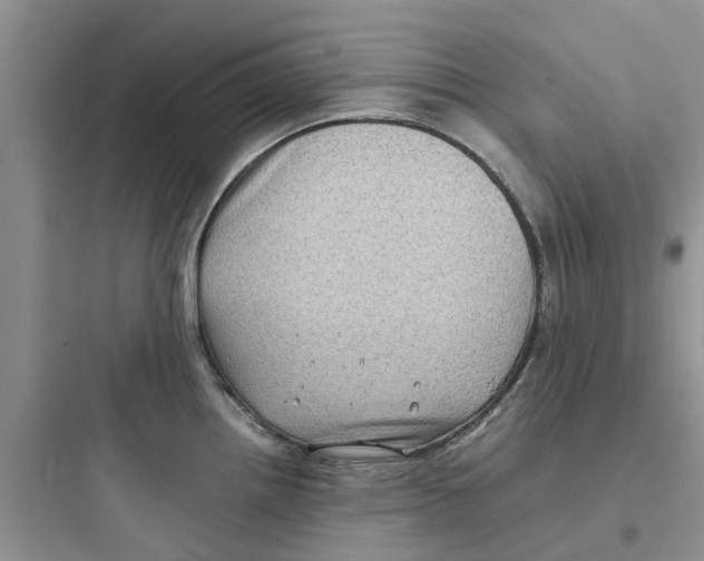 X0000097641242200803211825