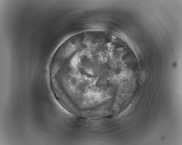 X0000097641243200803211825