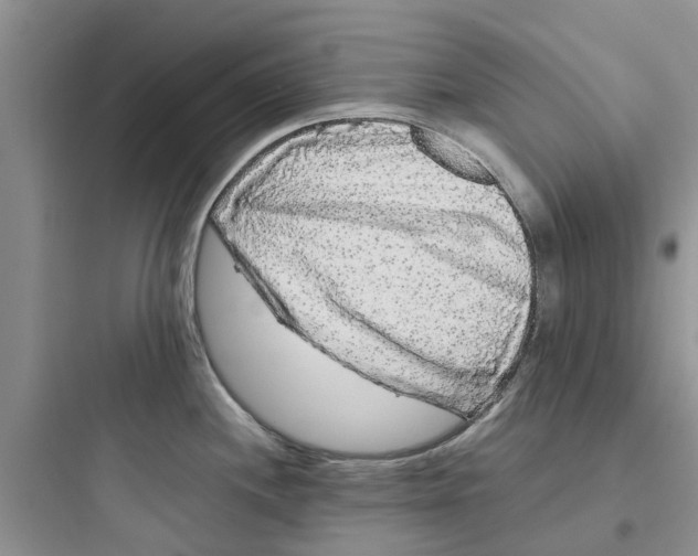 X0000097641244200803211825