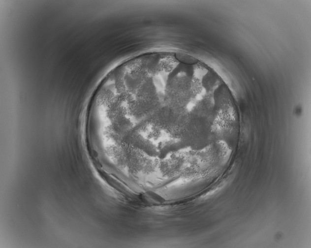 X0000097641245200803211825