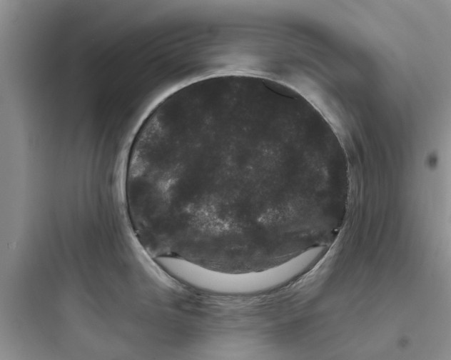 X0000097641246200803211825