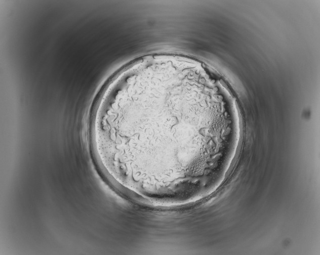 X0000097641247200803211825