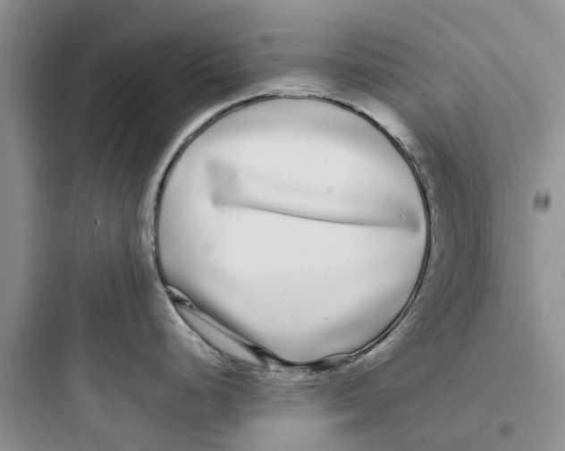 X0000097641248200803211825