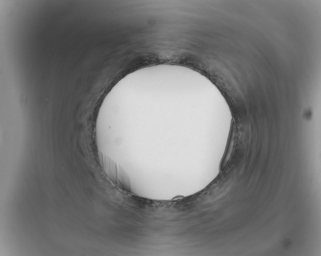 X0000097641249200803211825