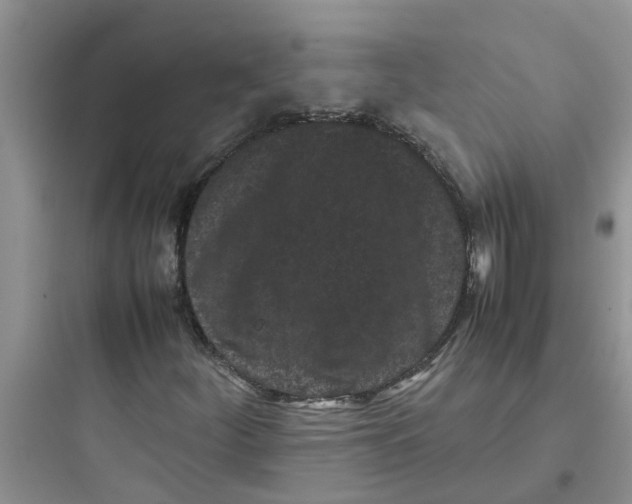 X0000097641252200803211824