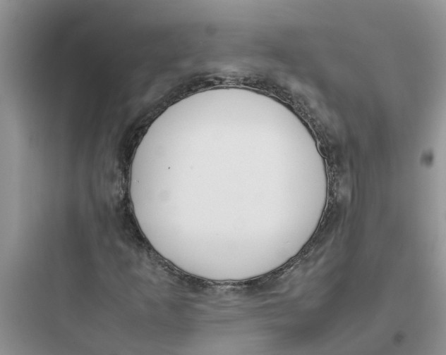 X0000097641253200803211824