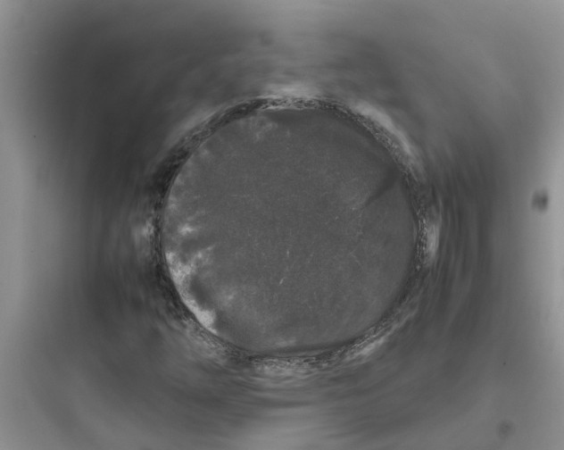 X0000097641254200803211824