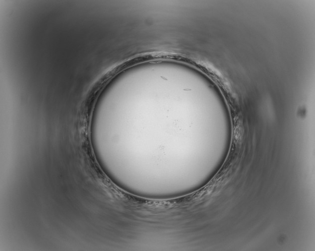 X0000097641255200803211824