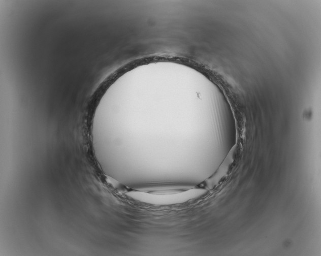 X0000097641256200803211824