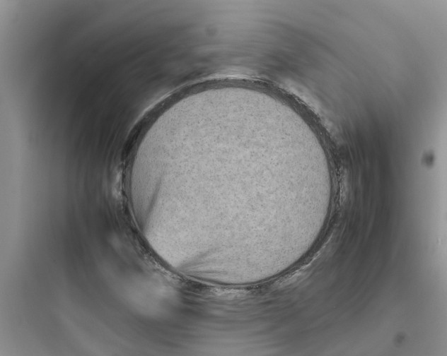 X0000097641258200803211824