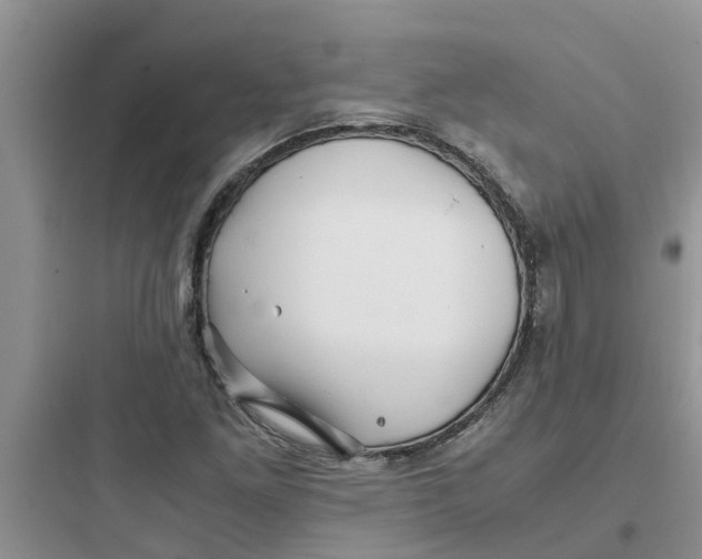 X0000097641261200803211824