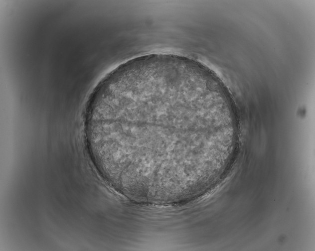 X0000097641263200803211824