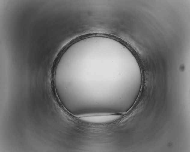 X0000097641264200803211824