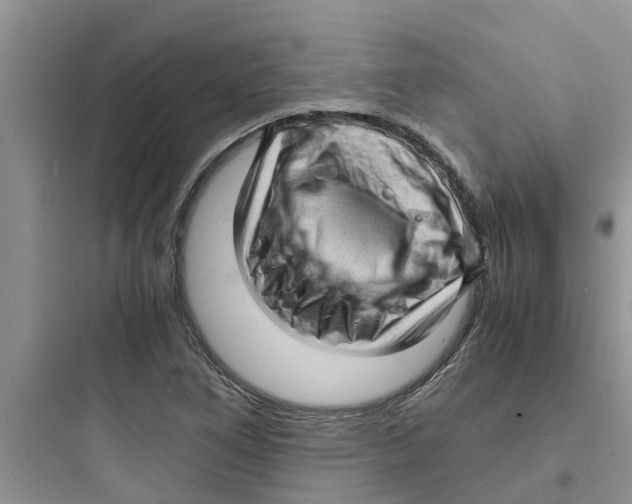 X0000097641266200803211824