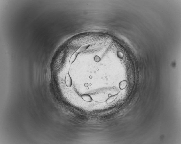 X0000097641267200803211824