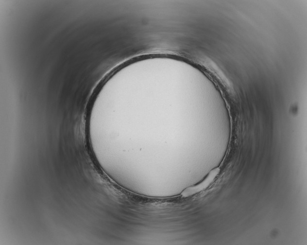 X0000097641268200803211824