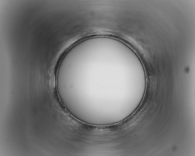 X0000097641269200803211824