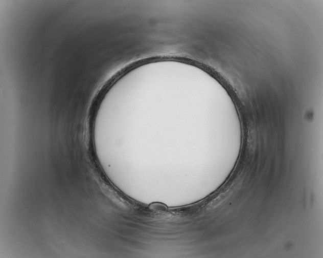 X0000097641270200803211824