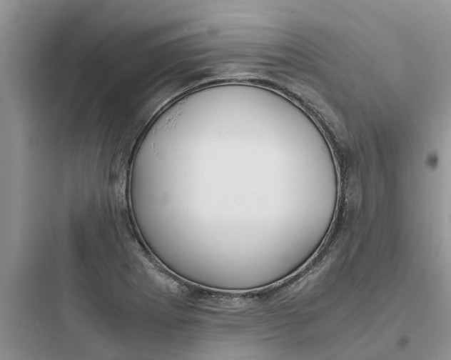 X0000097641273200803211824