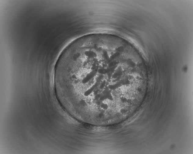 X0000097641275200803211824