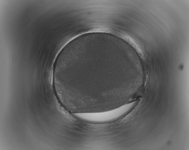 X0000097641276200803211824