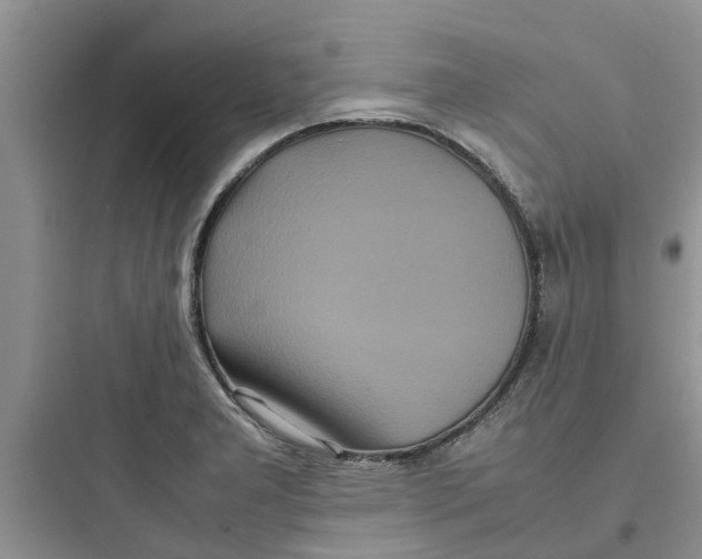 X0000097641277200803211824