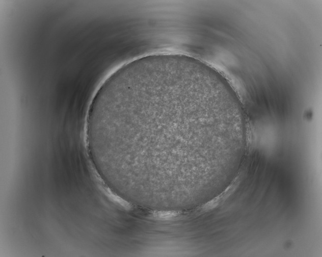 X0000097641278200803211824