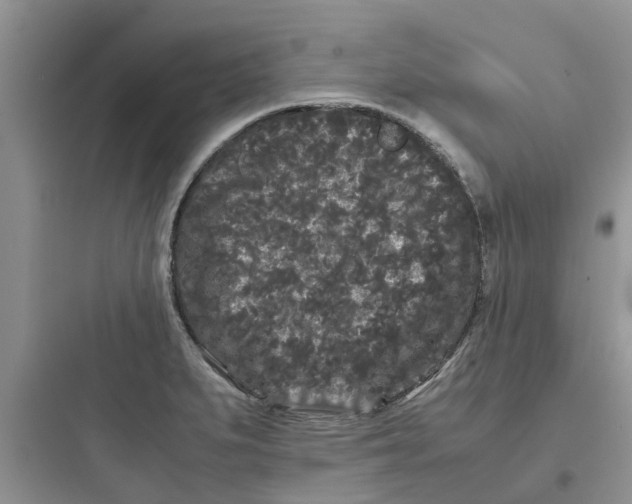 X0000097641279200803211824