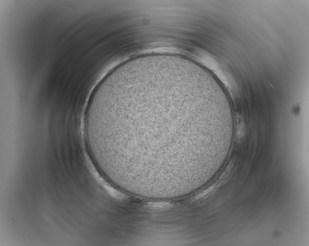 X0000097641282200803211824