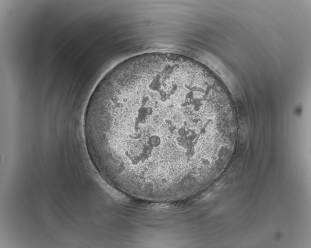 X0000097641283200803211824