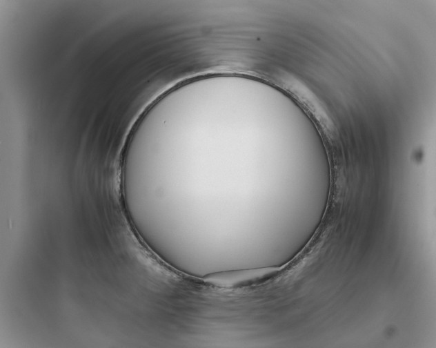 X0000097641284200803211824