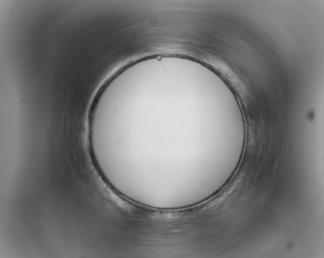 X0000097641286200803211824