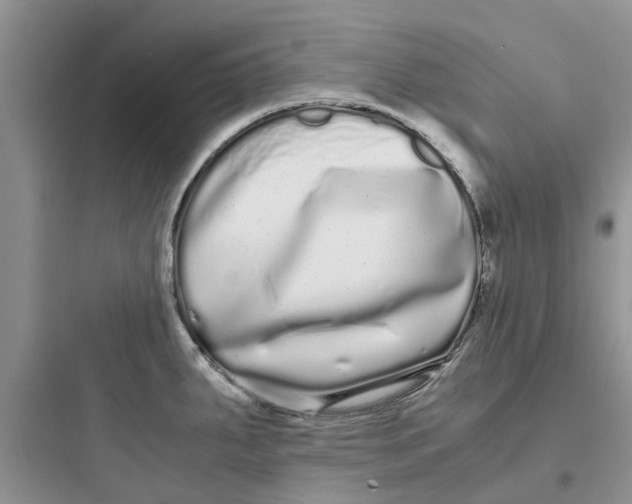 X0000097641287200803211824