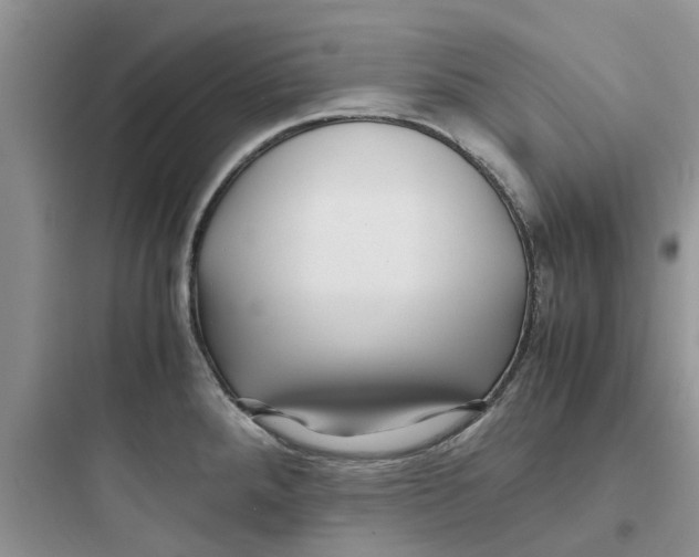 X0000097641288200803211824