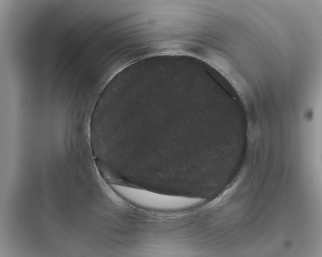 X0000097641289200803211824