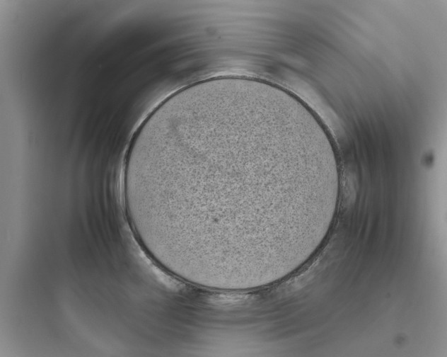 X0000097641290200803211824