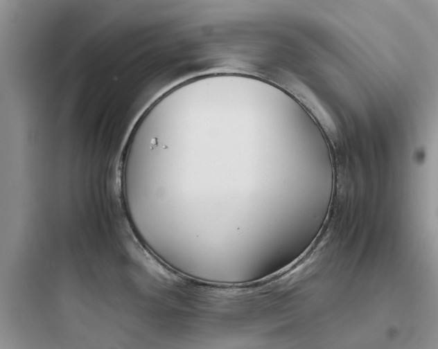 X0000097641292200803211824