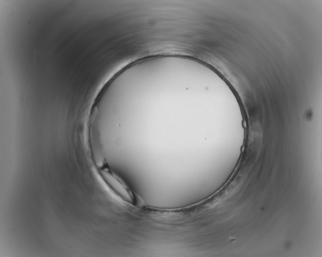 X0000097641293200803211824