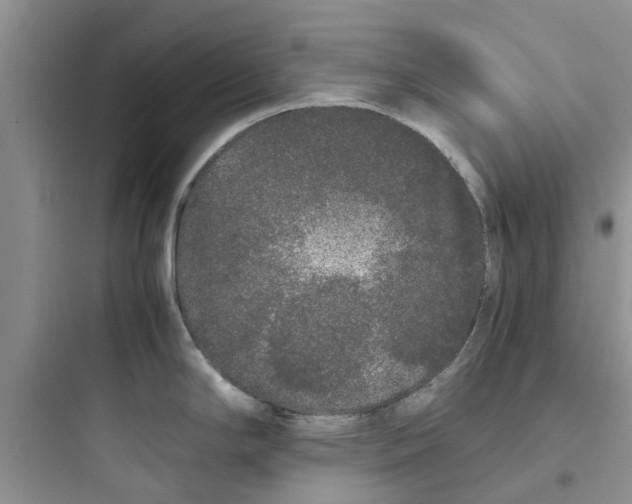 X0000097641294200803211824