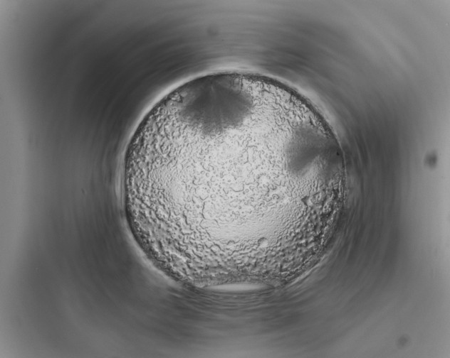 X0000097641295200803211824