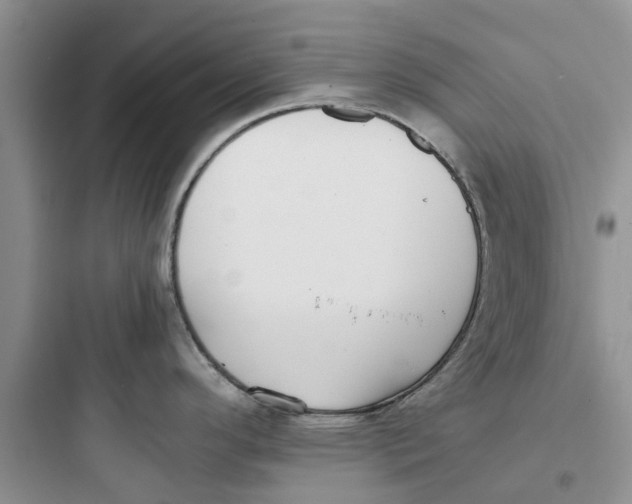 X0000097641296200803211824