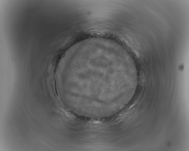 X0000097641297200803211823