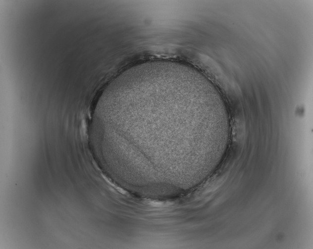 X0000097641298200803211823