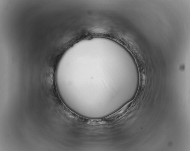 X0000097641301200803211823