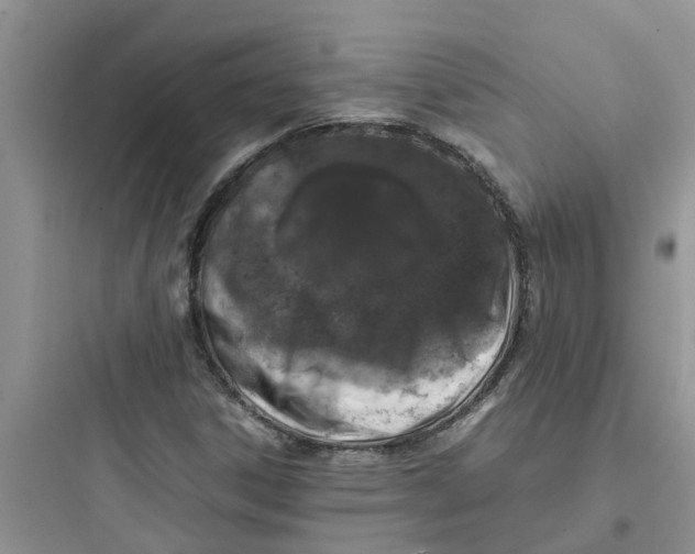 X0000097641306200803211823