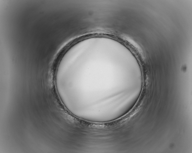 X0000097641310200803211823