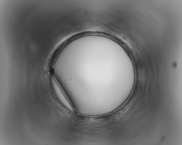 X0000097641311200803211823