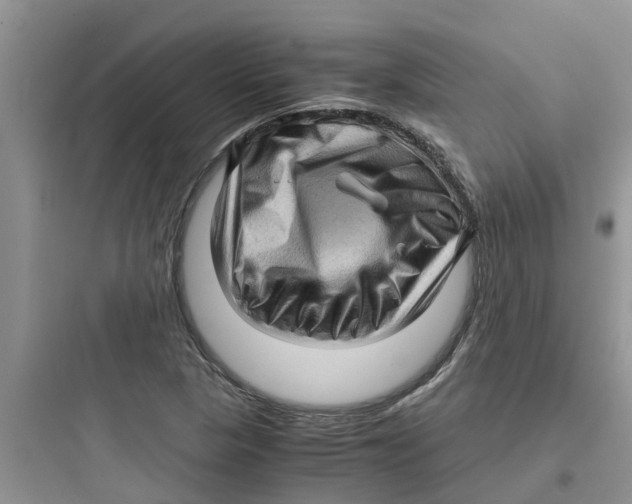 X0000097641313200803211823