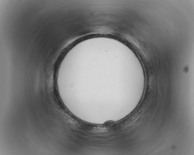 X0000097641315200803211823