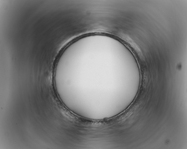 X0000097641316200803211823